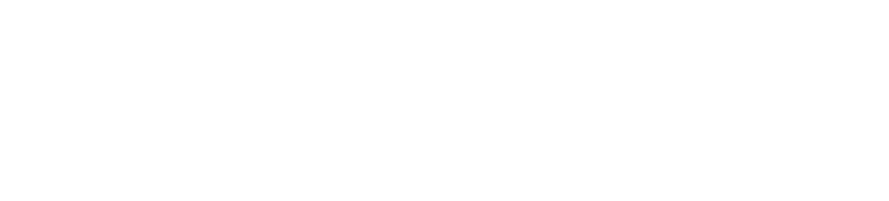 Fluxotic