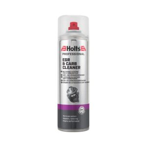 HOLTS EGR & CARB CLEANER